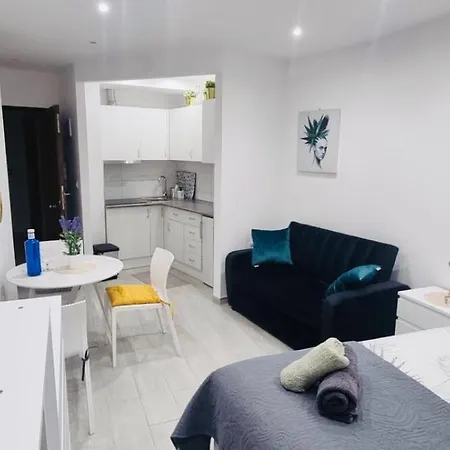 Julia5apartment 托雷维耶哈