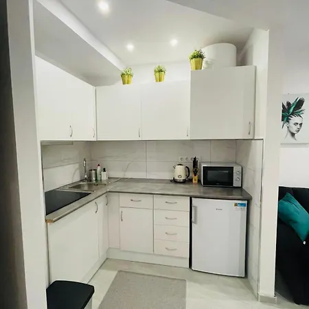 Julia5apartment * 托雷维耶哈