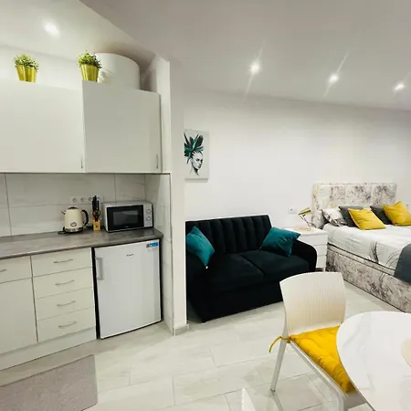 公寓 Julia5apartment 托雷维耶哈